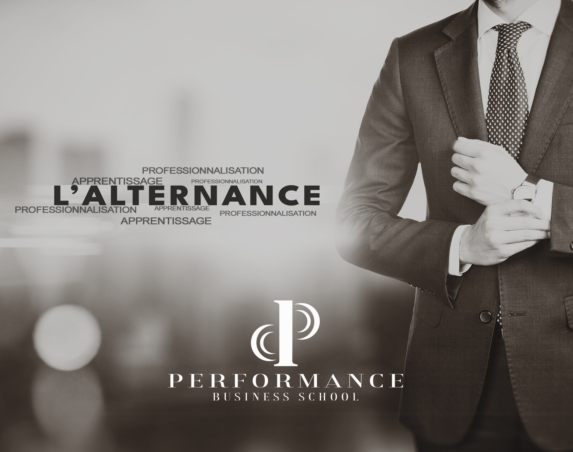 PERFORMANCE BUSINNES SCHOOL APPRENTISSAGE